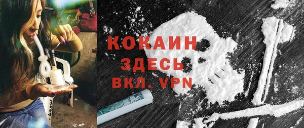 твердый Алексин