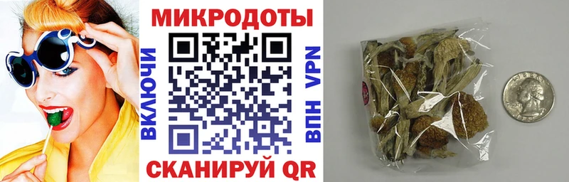 Псилоцибиновые грибы ЛСД  где продают наркотики  Талица 